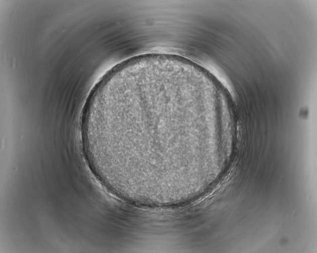 X0000098230972200805221707