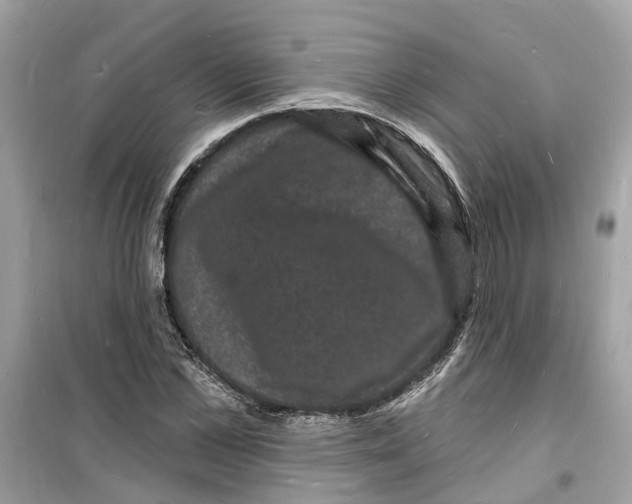 X0000098230973200805221707