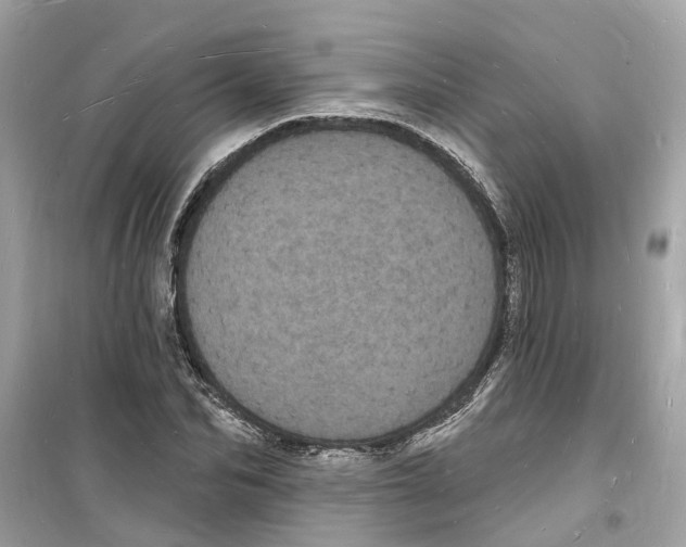 X0000098230974200805221707