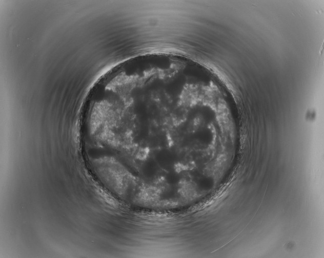 X0000098230975200805221707