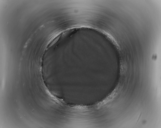 X0000098230977200805221707