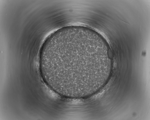 X0000098230979200805221707