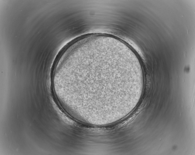 X0000098230980200805221707