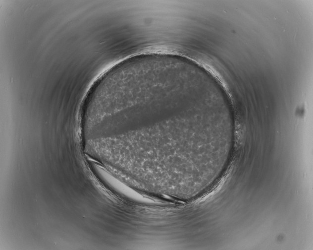 X0000098230981200805221707