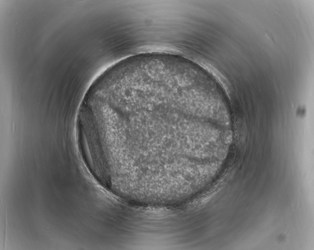 X0000098230983200805221707