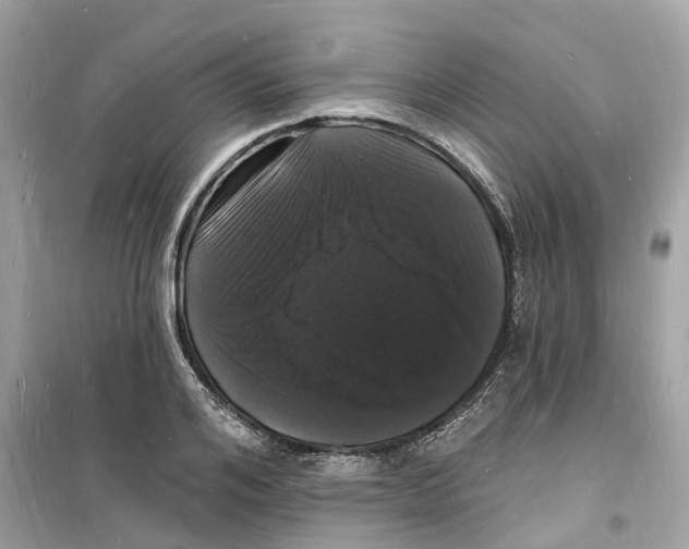 X0000098230984200805221707