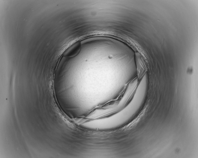 X0000098230985200805221707