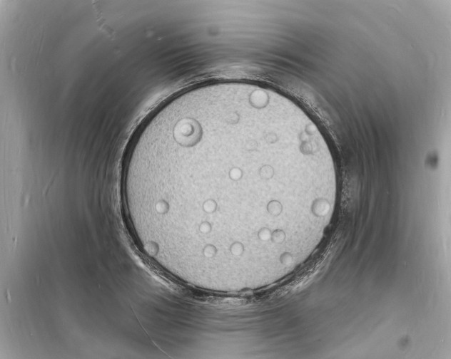 X0000098230986200805221707