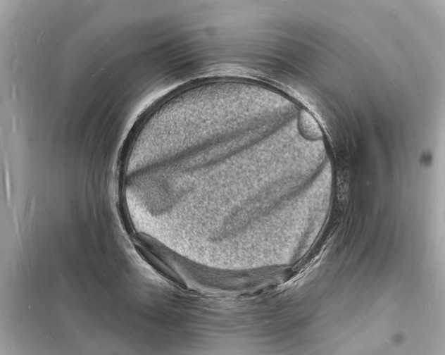 X0000098230987200805221707