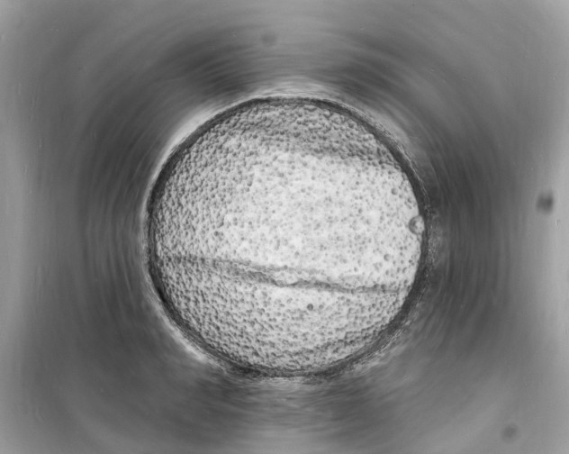 X0000098230990200805221707