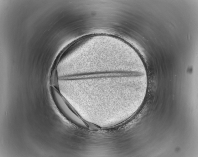 X0000098230991200805221707