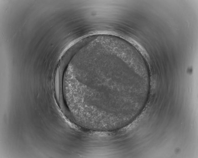 X0000098230993200805221707