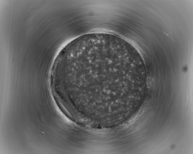 X0000098230995200805221707