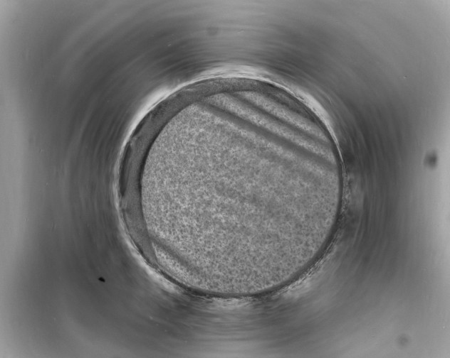 X0000098230997200805221707