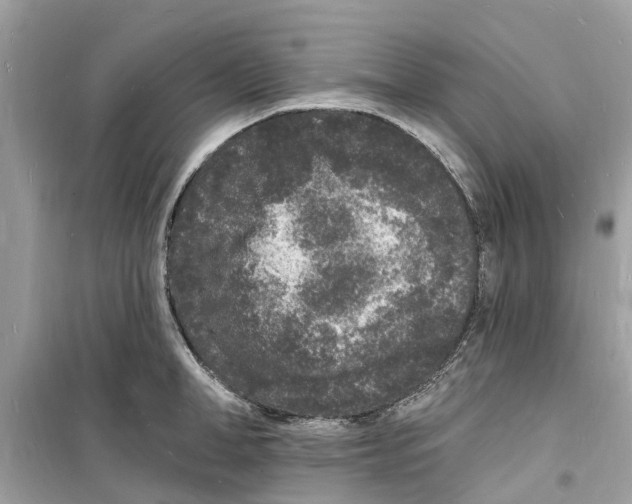 X0000098230998200805221707