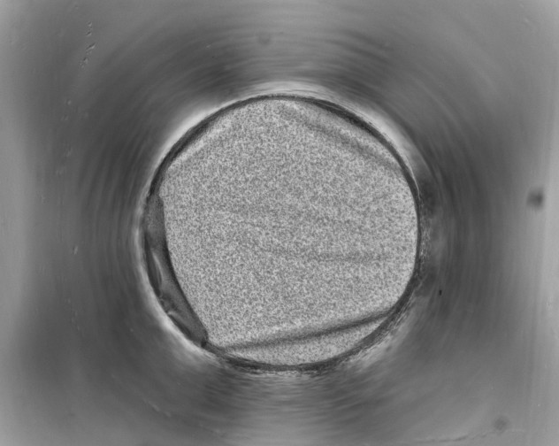 X0000098230999200805221707