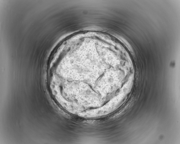 X0000098231000200805221707