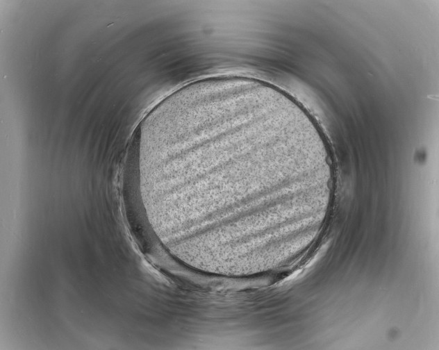 X0000098231001200805221707