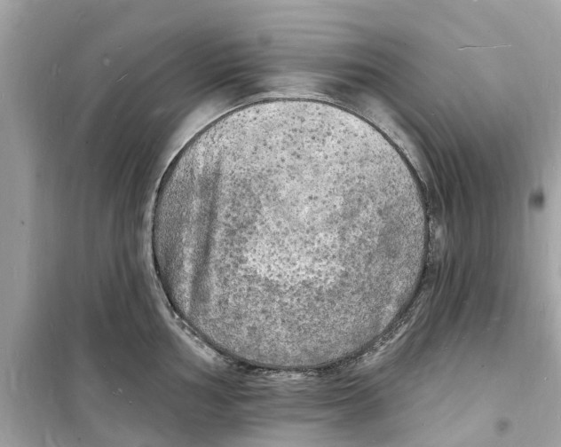 X0000098231002200805221707