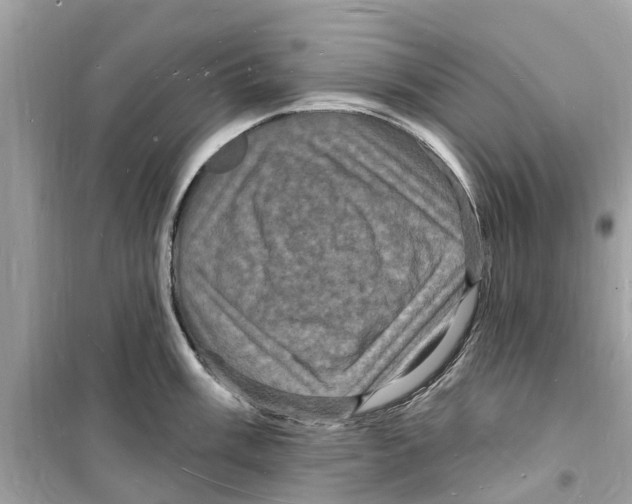 X0000098231003200805221707