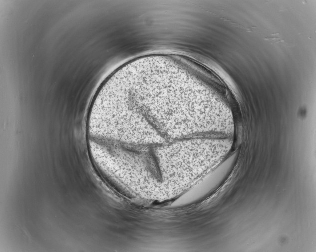 X0000098231004200805221707