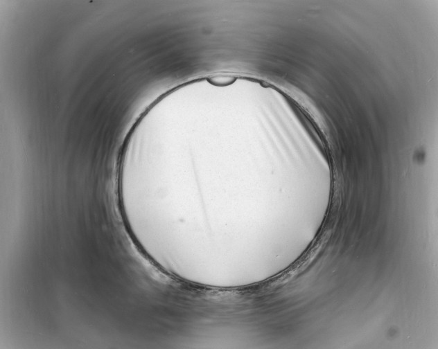 X0000098231006200805221707