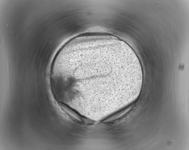 X0000098231008200805221707