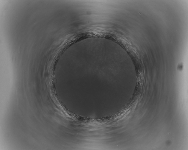 X0000098231009200805221706