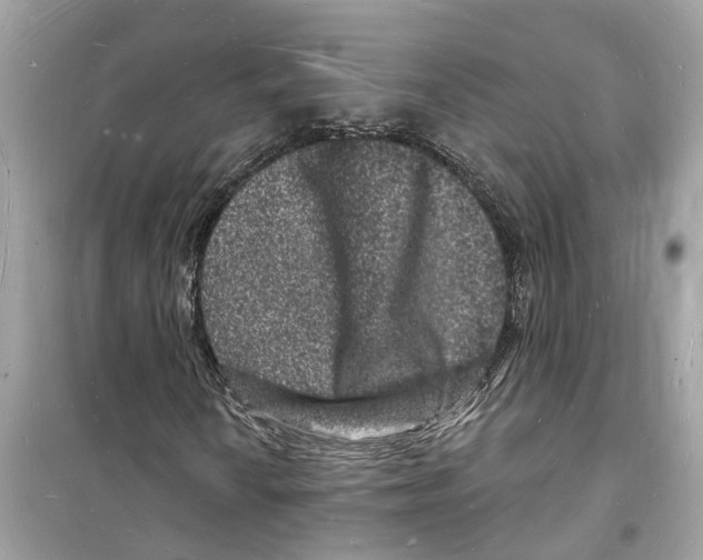 X0000098231010200805221706