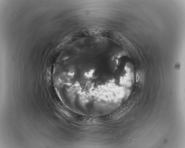 X0000098231011200805221706