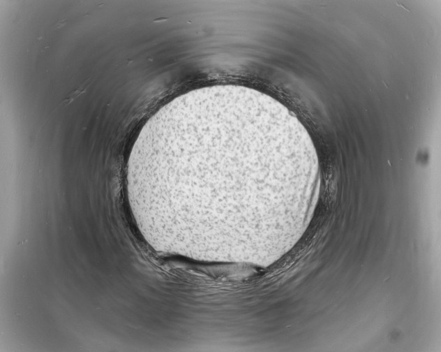 X0000098231012200805221706