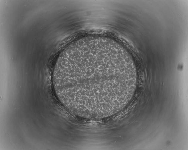 X0000098231013200805221706