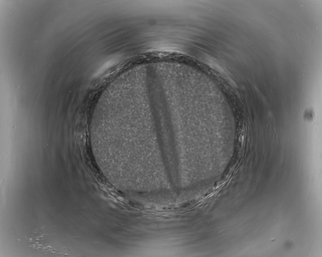 X0000098231014200805221706