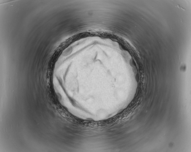 X0000098231016200805221706