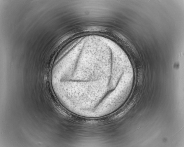 X0000098231017200805221706