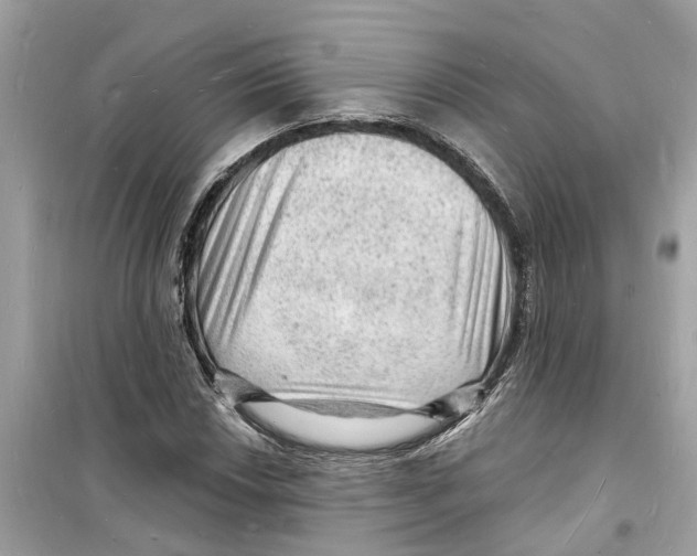 X0000098231018200805221706