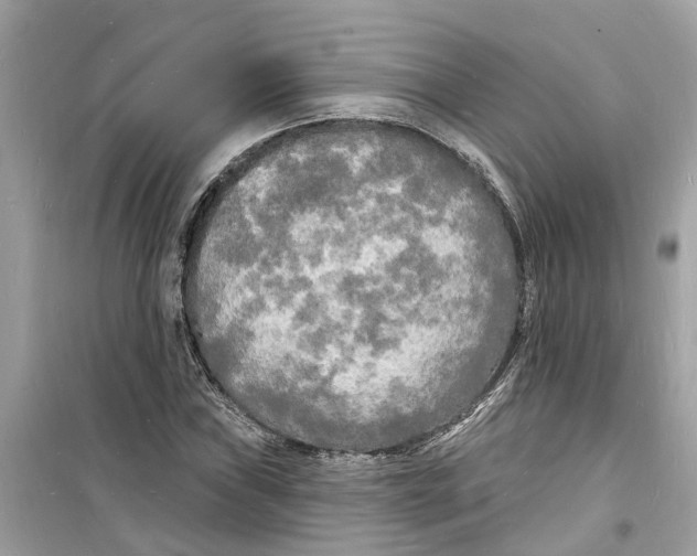 X0000098231019200805221706