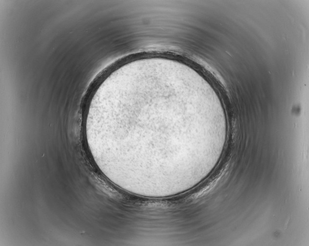 X0000098231021200805221706