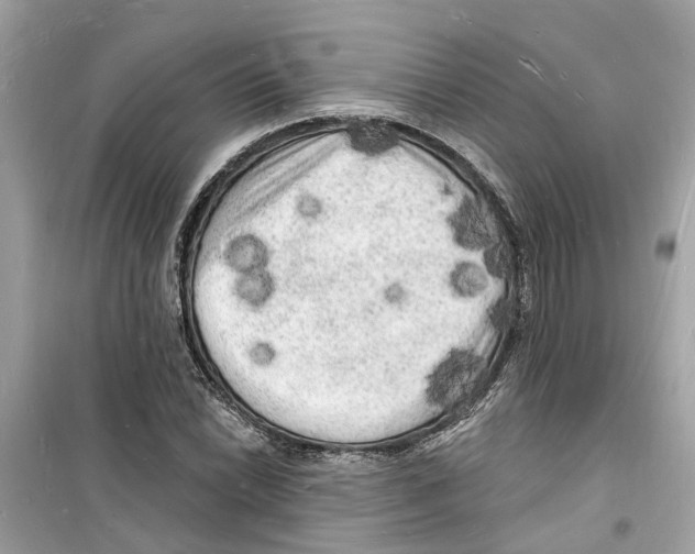 X0000098231022200805221706