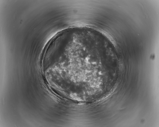 X0000098231023200805221706