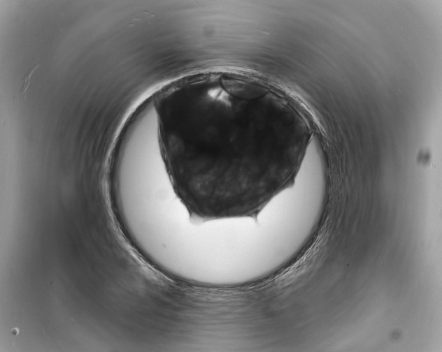 X0000098231024200805221706