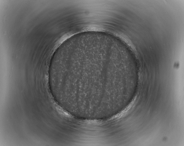 X0000098231025200805221706