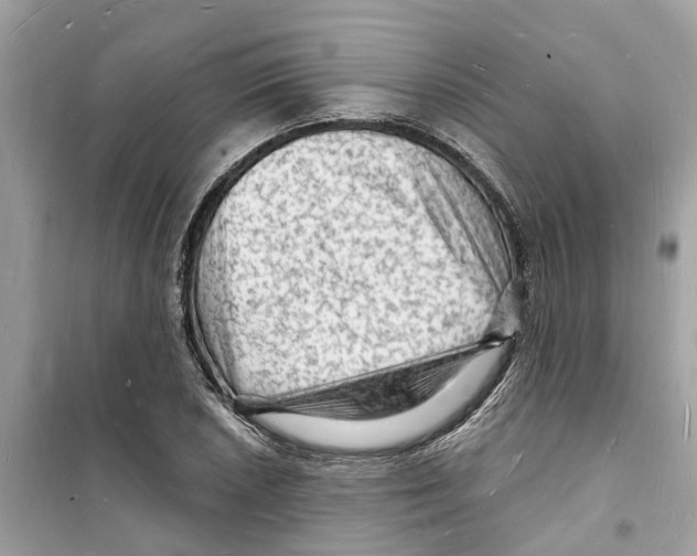 X0000098231026200805221706