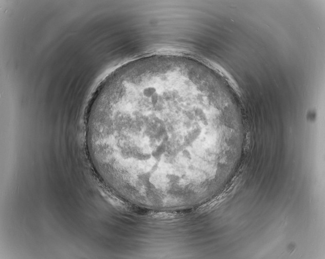 X0000098231027200805221706