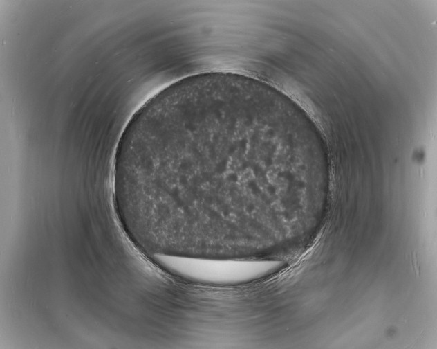 X0000098231028200805221706