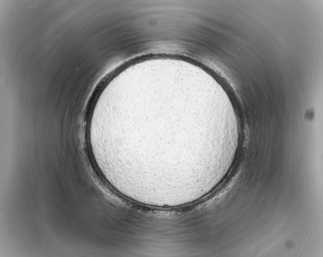 X0000098231029200805221706