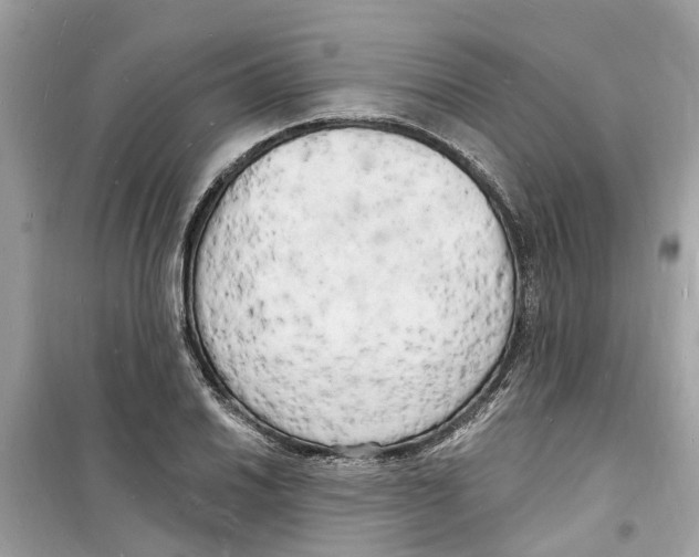 X0000098231030200805221706