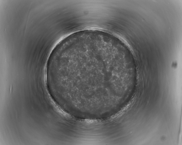 X0000098231032200805221706