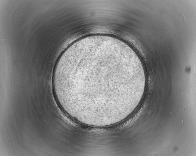 X0000098231033200805221706