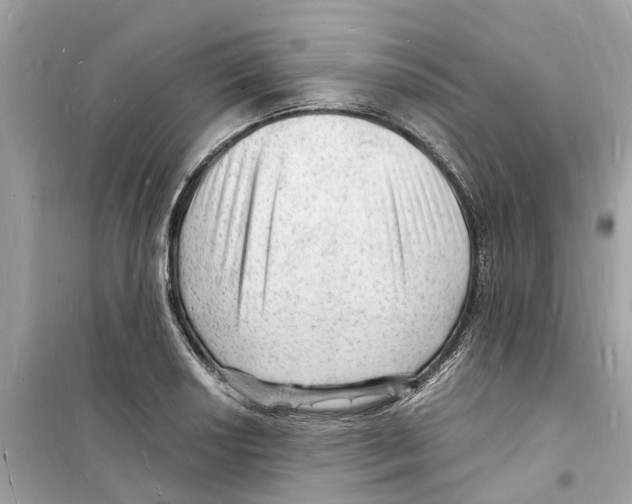 X0000098231034200805221706